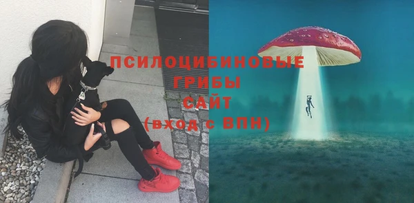 не бодяженный Аркадак